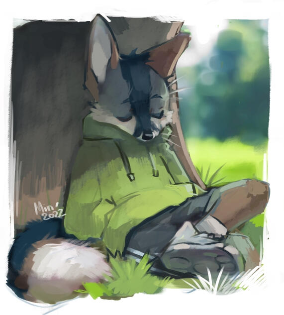 Cozy day